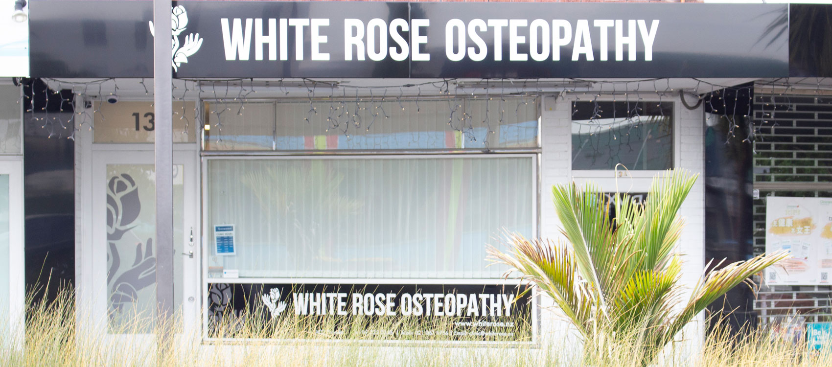 white-rose-osteo-contact-page-banner